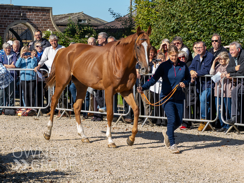 Paul Nicholls Visit - 28 September 2025